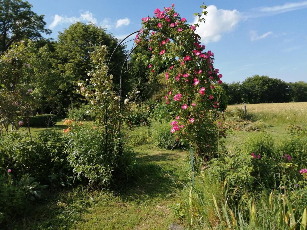 Les Berges De La Planchette Bed and Breakfast Yvignac-la-Tour Εξωτερικό φωτογραφία